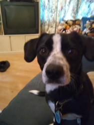 IMG_20171103_102558351