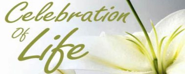 3ac69a8d-b87e-4d01-933e-a4658dfccc7e