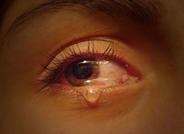 7e1a2fd2a3ceefd64391bb01a3a09303--baby-live-boss-baby